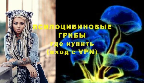 каннабис Белокуриха